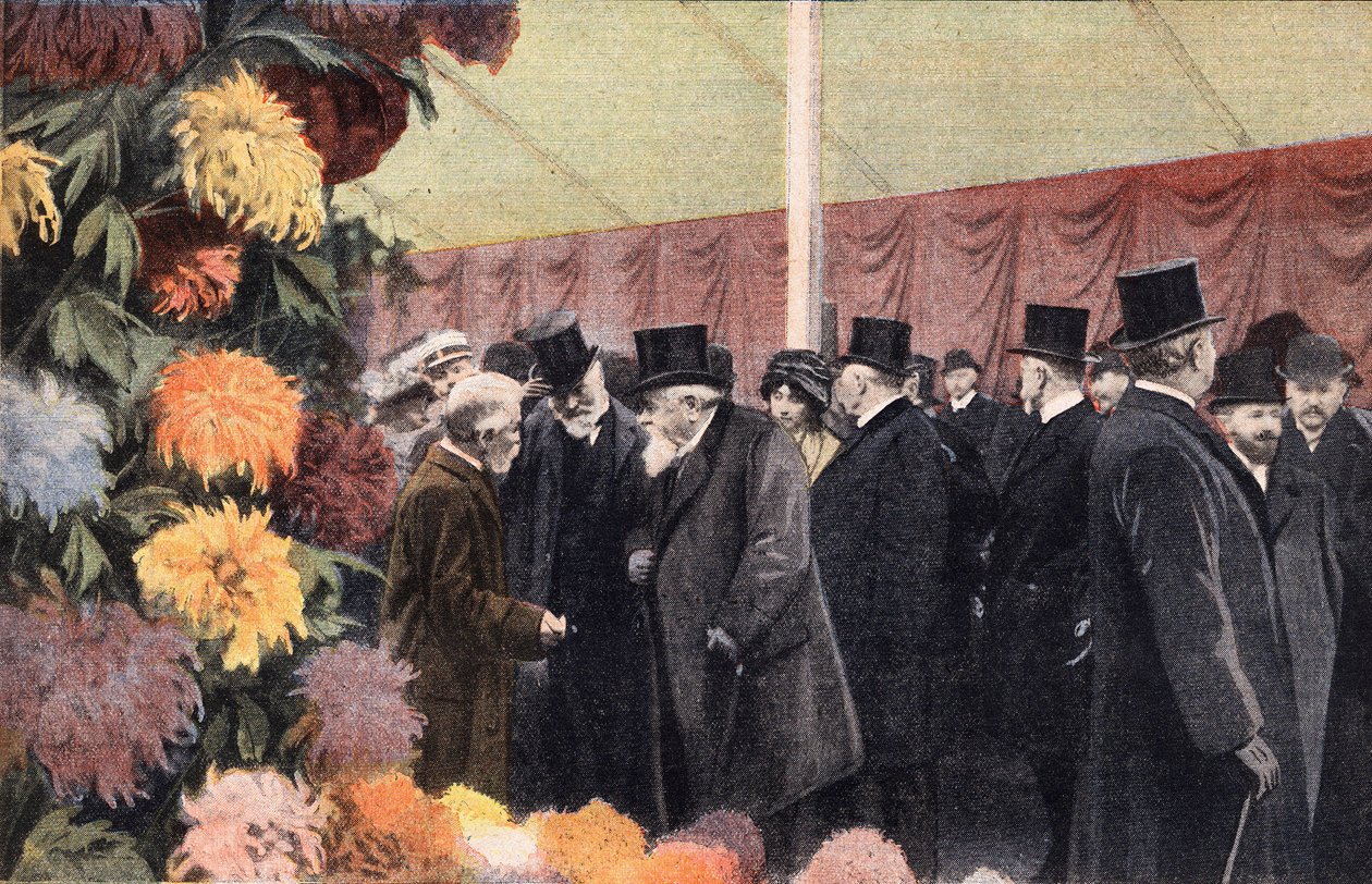Krysantemfesten: officiell krysantemutställning. Gravyr. En av tidningen "" Le petit parisien"" 1910-11-20. Privat samling. av Anonymous Anonymous