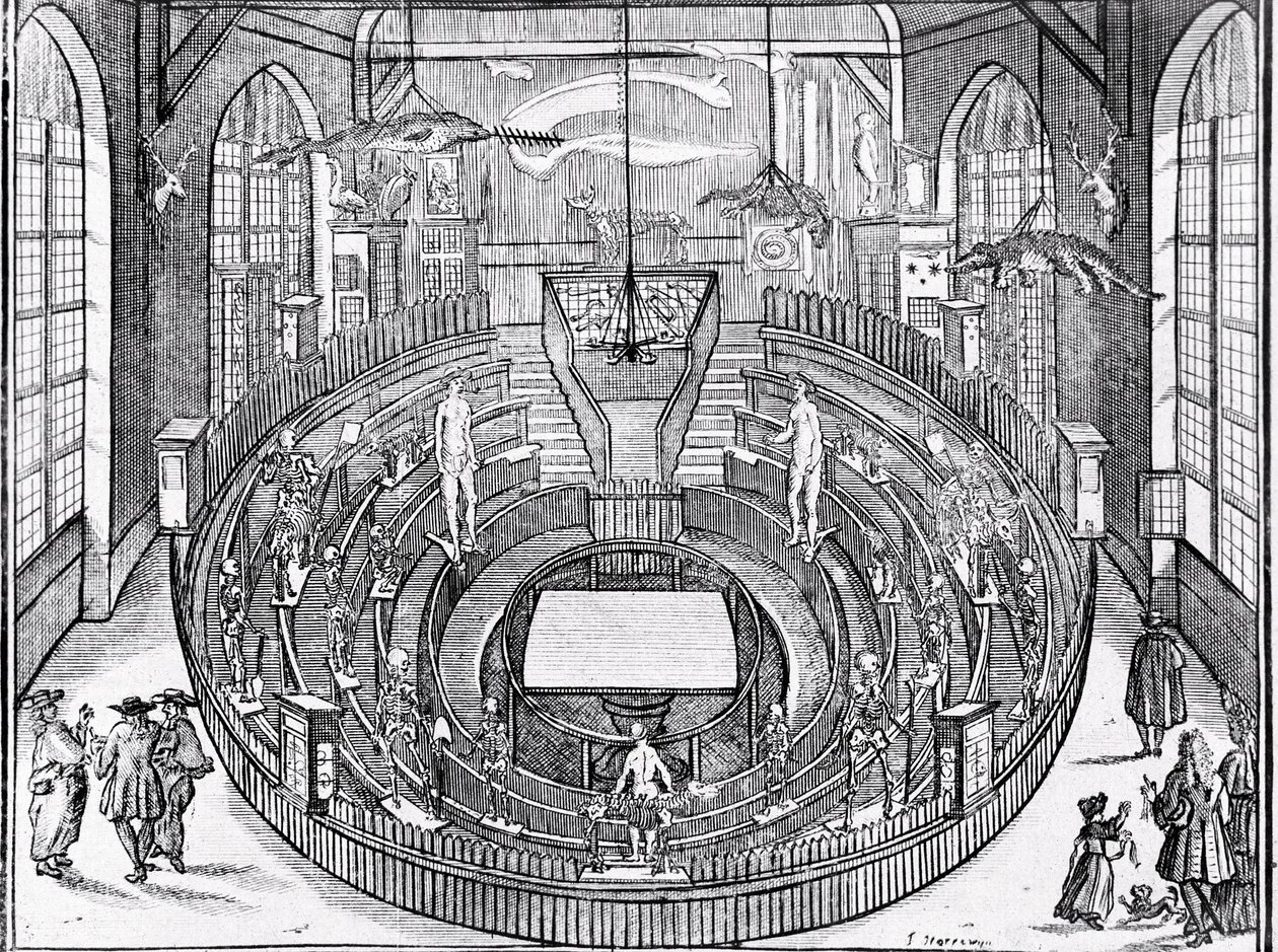 Utsikt över en anatomisk teater troligen vid Leiden University i början av 1600-talet (gravyr) av Anonymous Anonymous