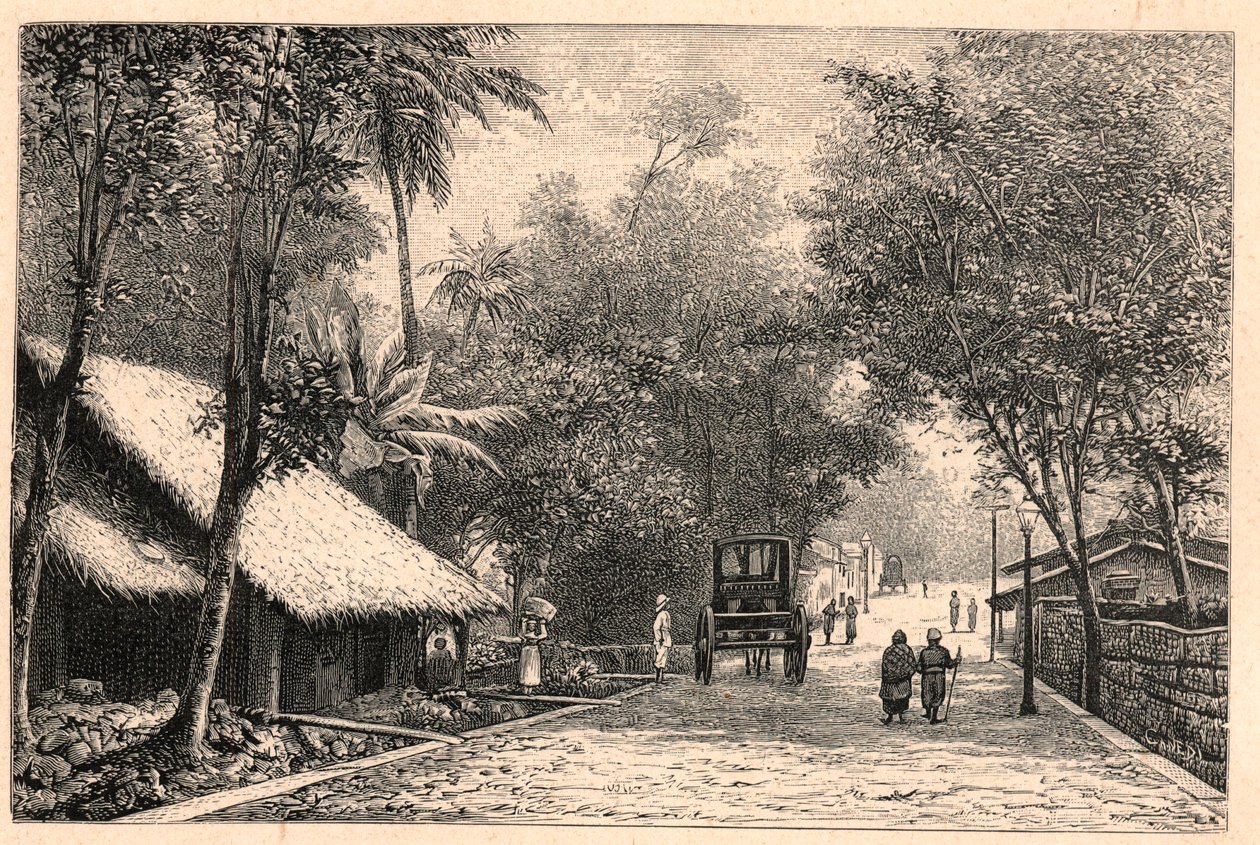 Vy över en gata från Colombo i Ceylon (Sri Lanka). Gravyr i "The Catholic Missions in the XIXth Century"" av Louis-Eugene (Louis Eugene) Louvet. privat samling. av Anonymous Anonymous