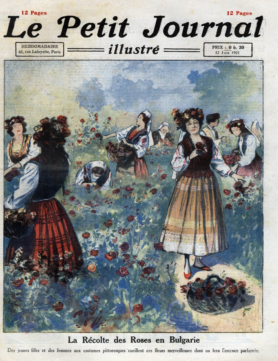 Unga kvinnor i traditionell bulgarisk kostym plockar rosor för tillverkning av rosenvatten. Illustration hämtad från "" Le petit journal illustrious""" av 1921-06-12. Privat samling av Anonymous Anonymous