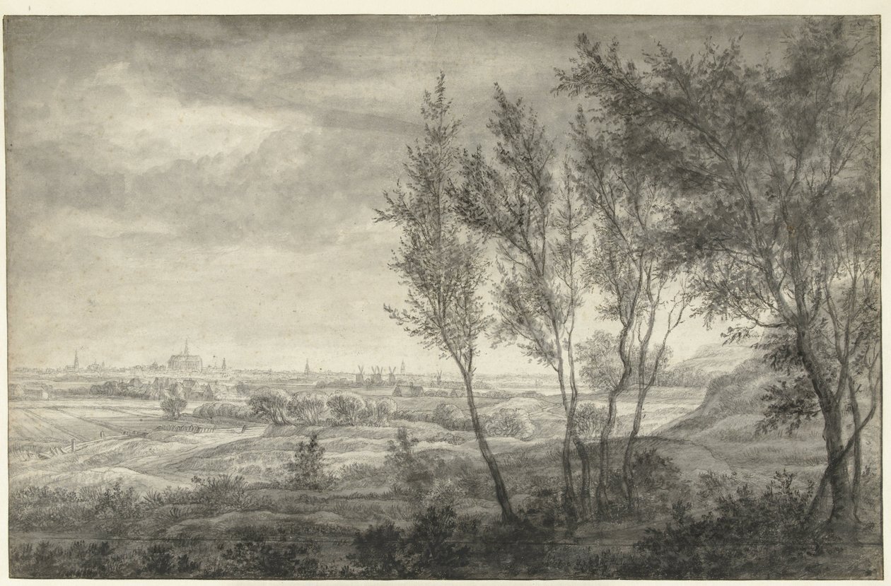 Utsikt från Haarlems sanddyner av Anthonie Waterloo