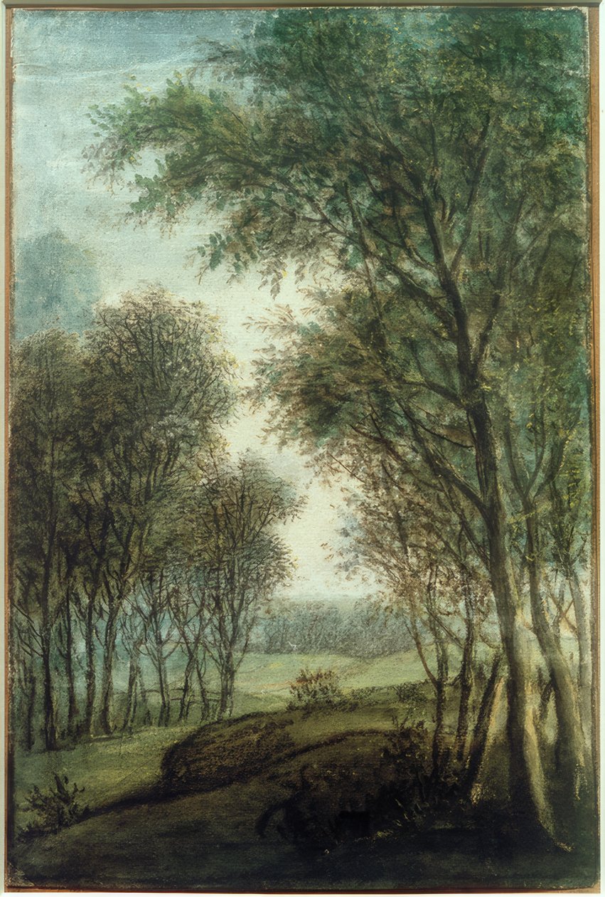 Skogens kant av Anthonie Waterloo