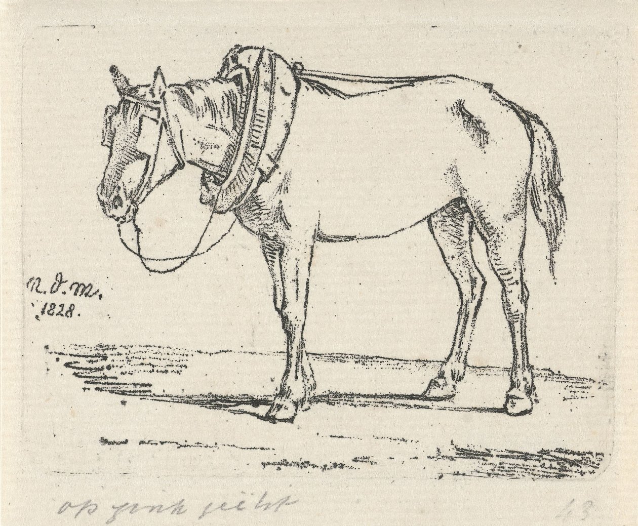 påhittad häst av Anthonie Willem Hendrik Nolthenius de Man