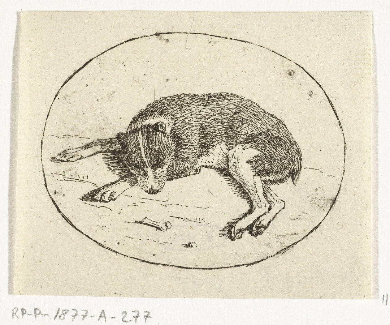 liggande hund av Anthonie van den Bos