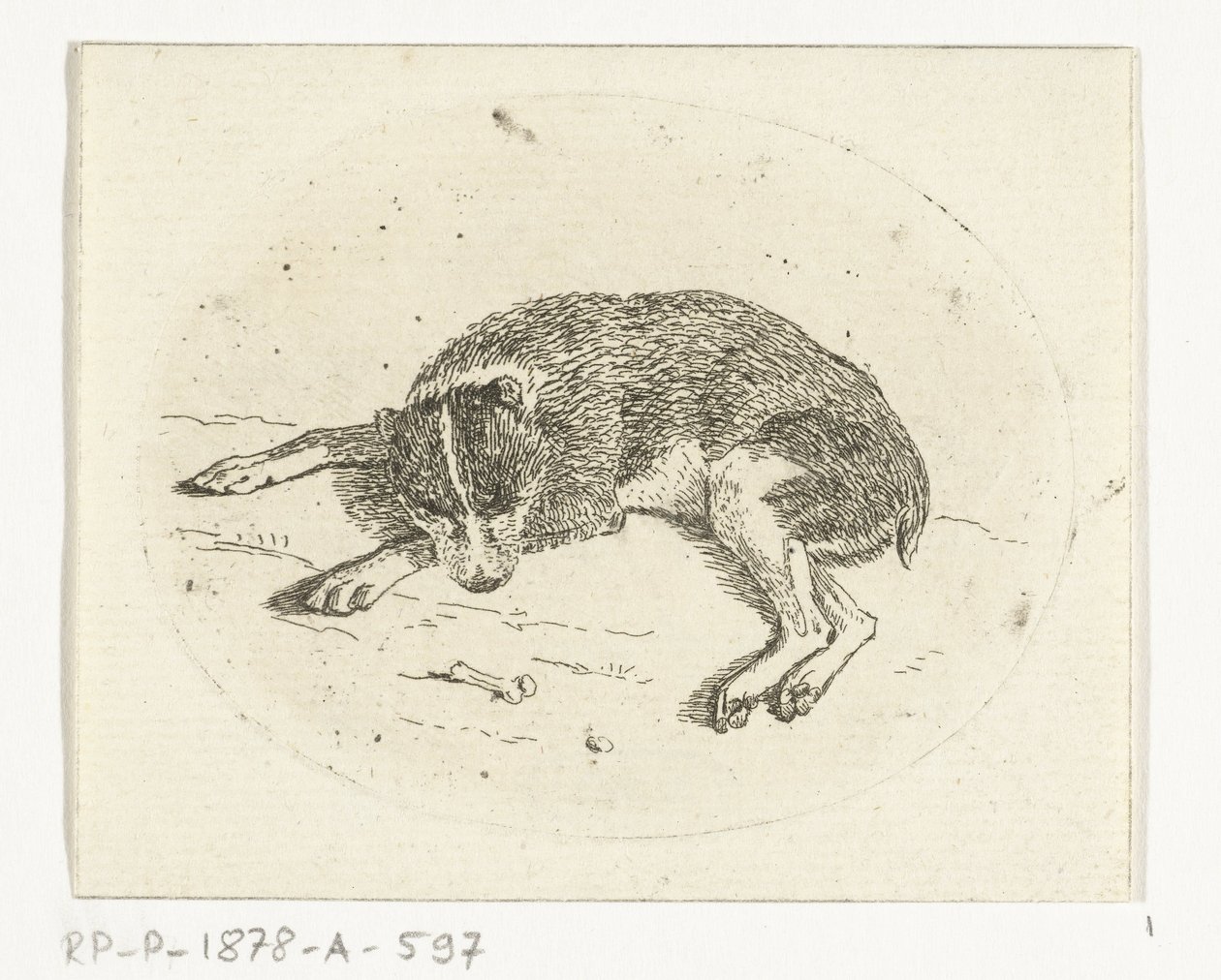 liggande hund av Anthonie van den Bos