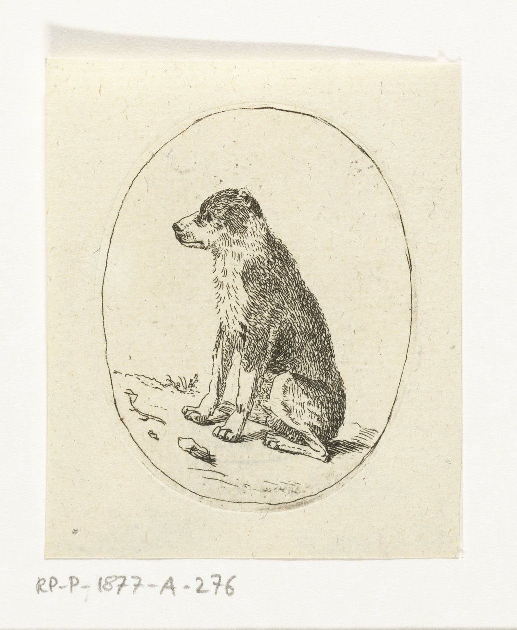 sittande hund av Anthonie van den Bos
