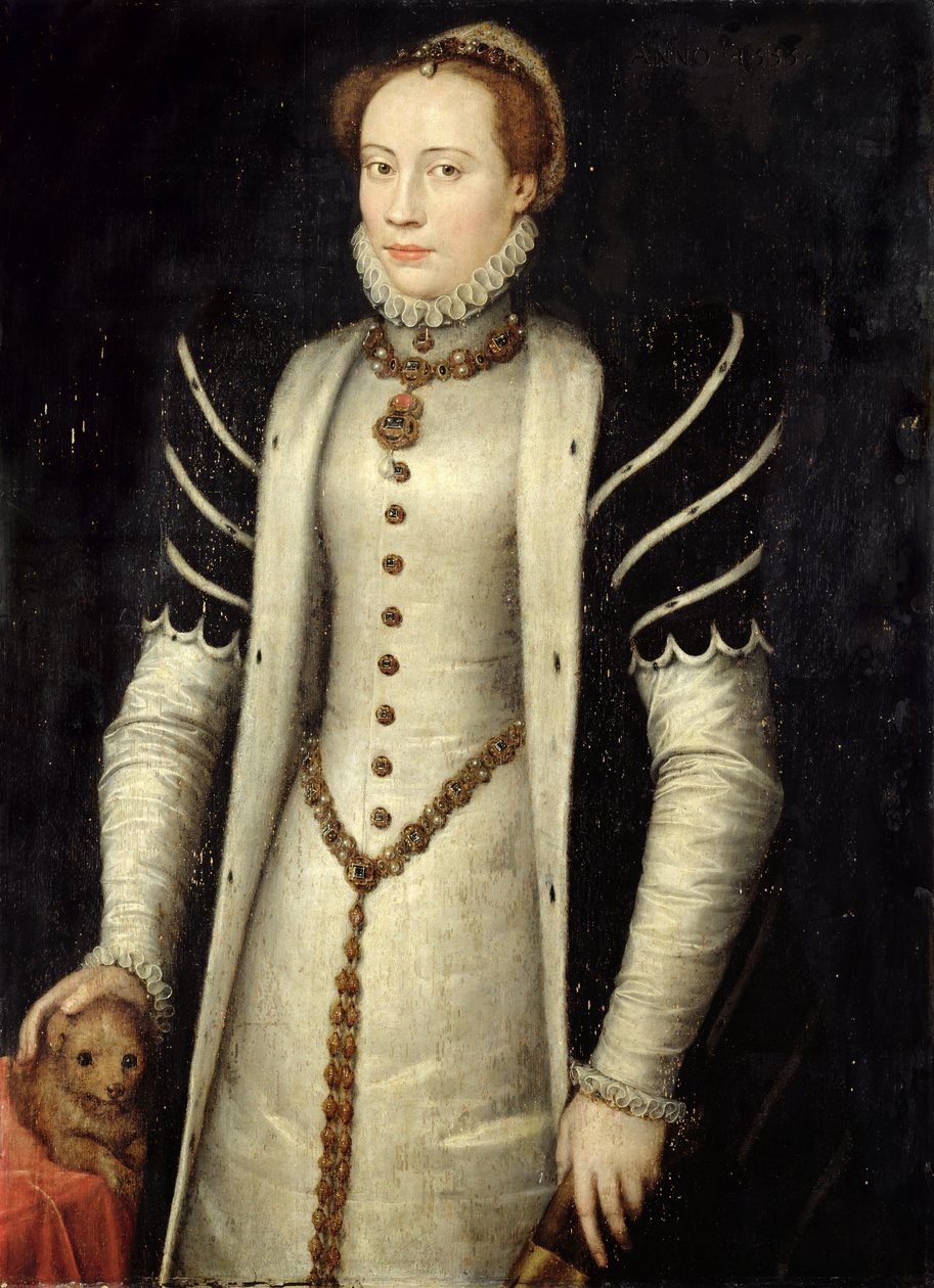 Portrait of a Noblewoman with a Puppy, 1555 (oil on oak panel) av Anthonis Mor