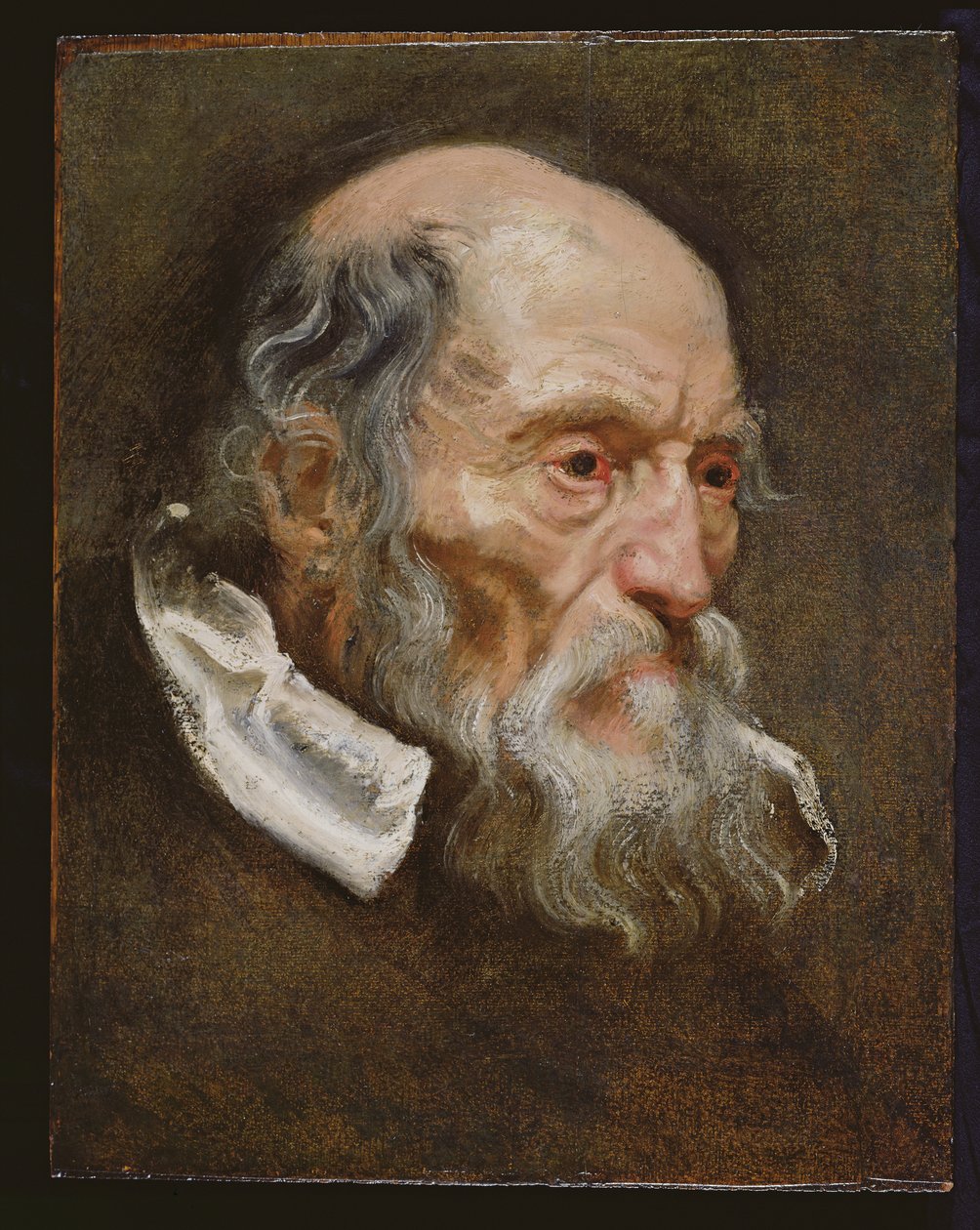 Porträtt av en gammal man av Anthony van Dyck
