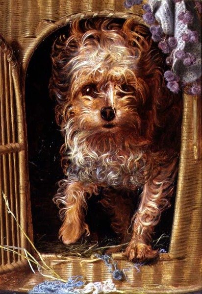 Darby, en Yorkshire Terrier (olja på panel) av Anthony Frederick Augustus Sandys