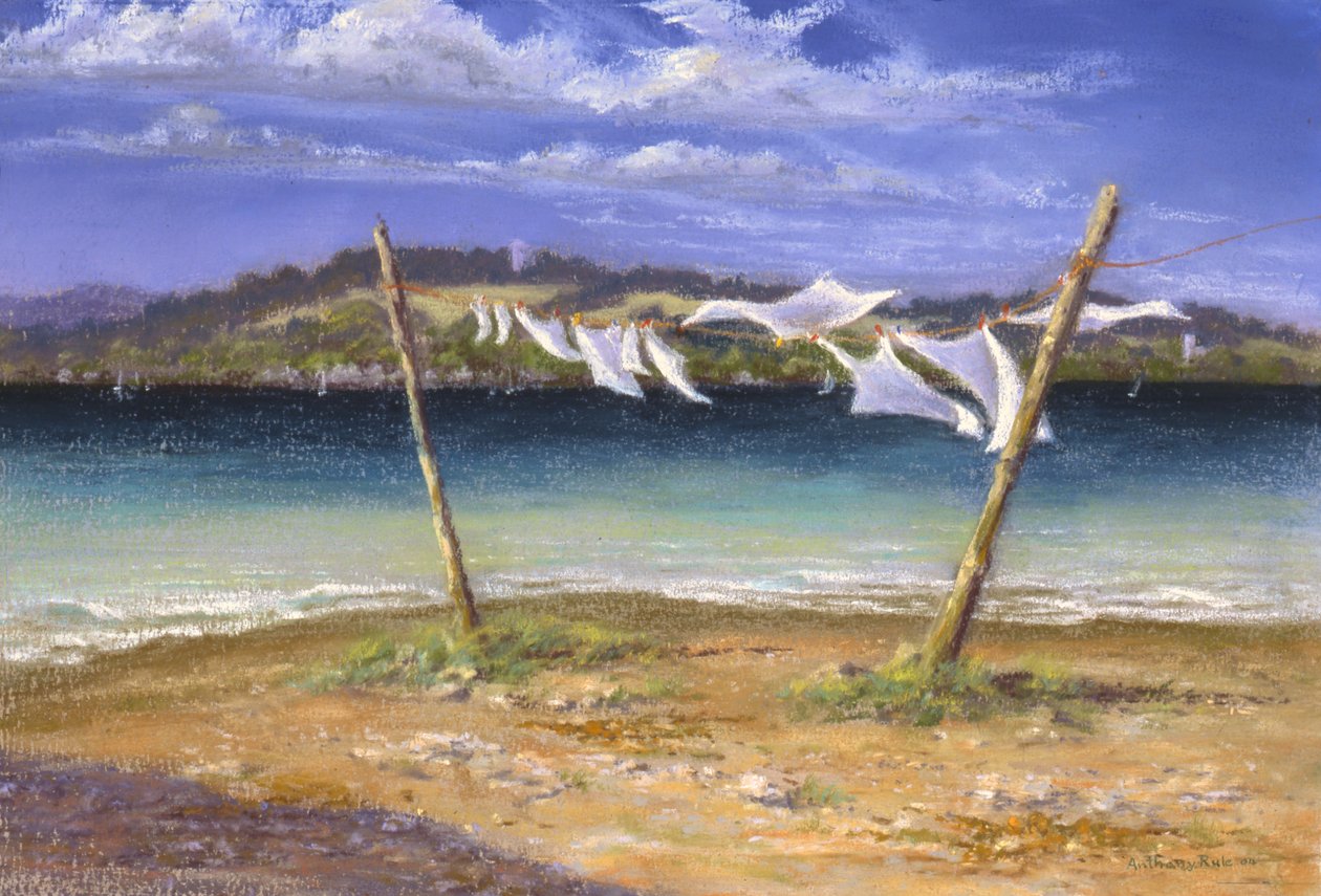 Torka de vita, 2004 av Anthony Rule
