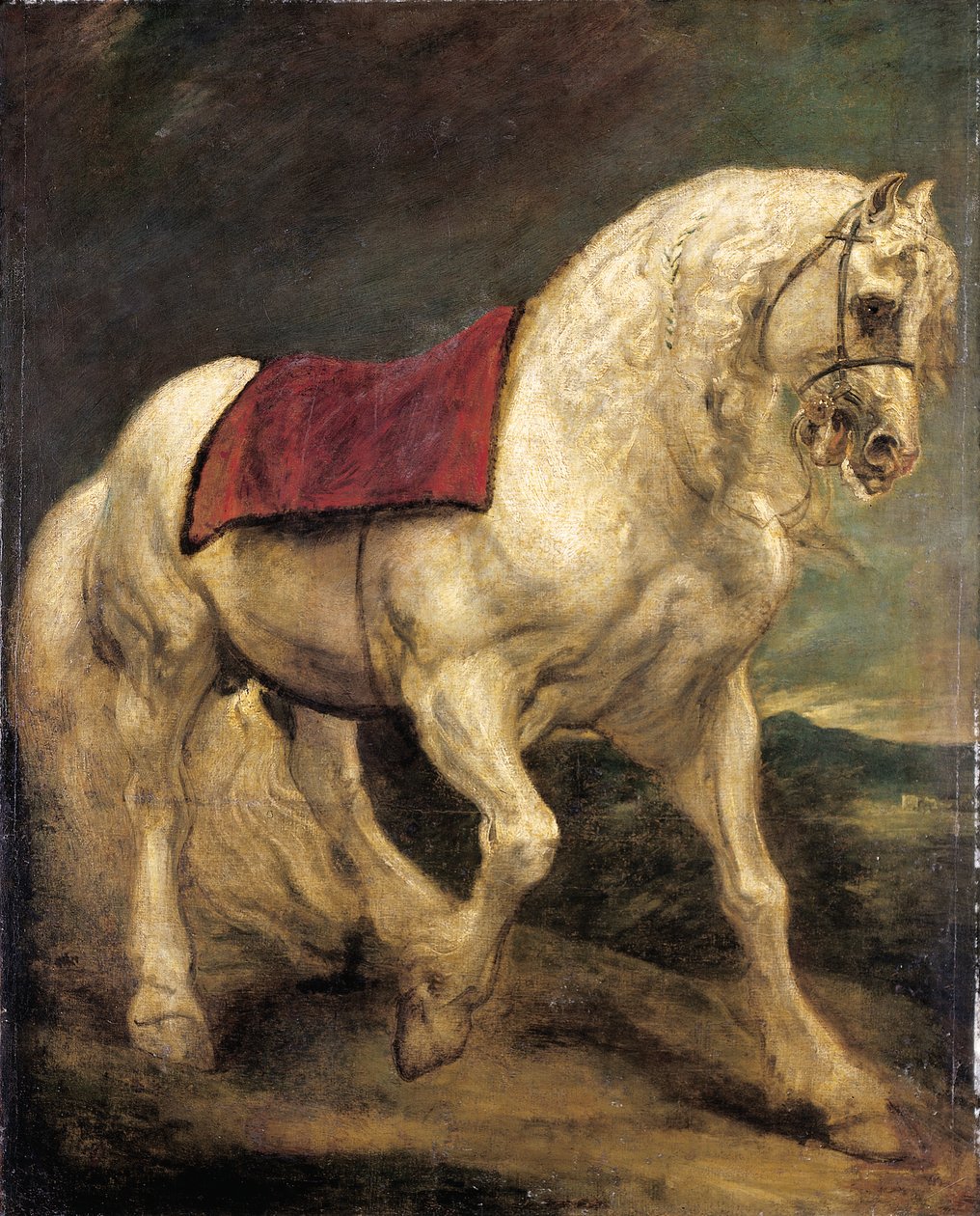 En tyglad grå hingst, med tygduk och delvis flätad man: en modello av Anthony van Dyck