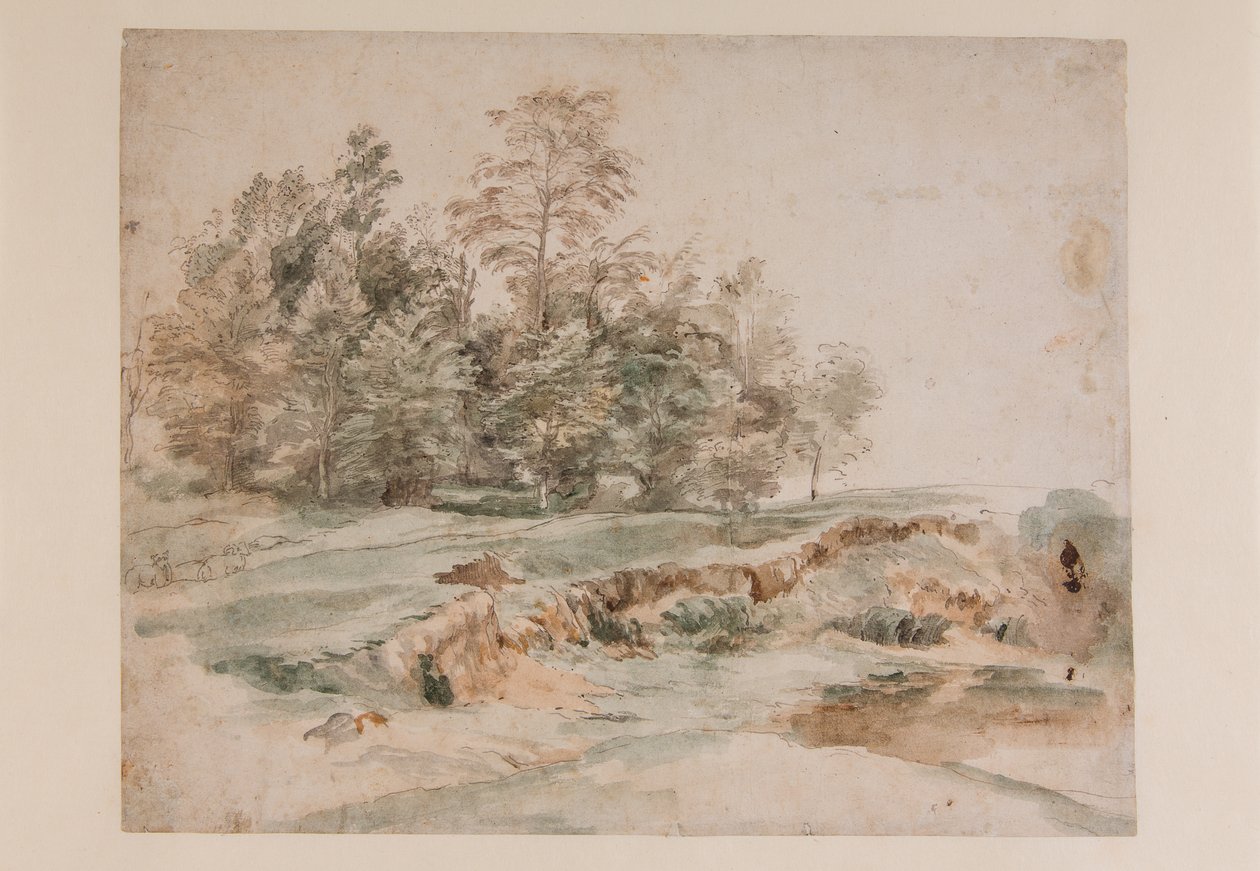 En trädklump vid en skogsbevuxen väg (penna och akvarell på papper) av Anthony van Dyck