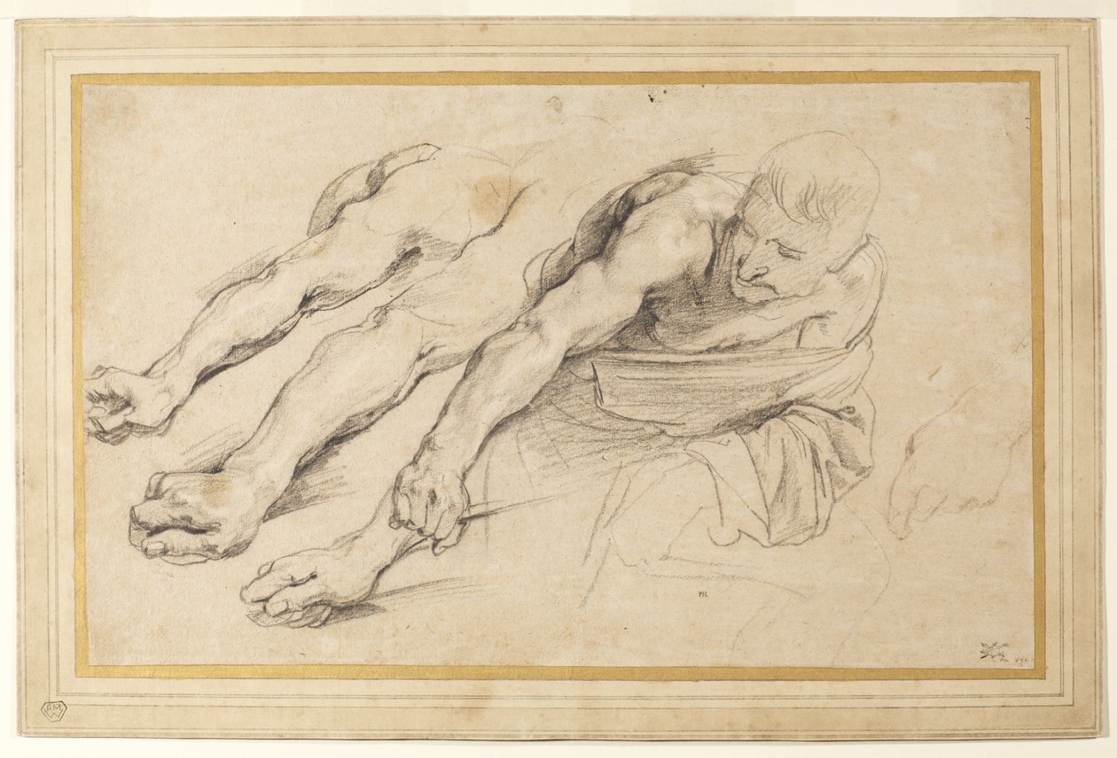 Figur av en man som böjer sig framåt med höger arm utsträckt; tre studier av höger arm och en av vänster hand för samma figur (krita på papper) av Anthony van Dyck