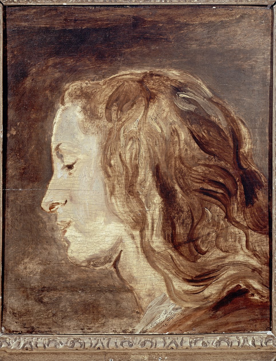 Head Study, första hälften av 1600-talet (olja ombord) av Anthony van Dyck