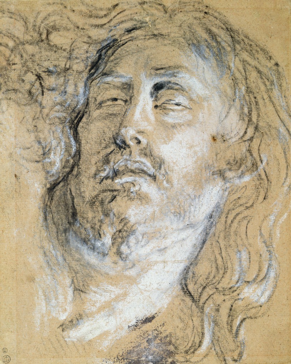 Head of the Dead Christ (kol & krita på papper) av Anthony van Dyck