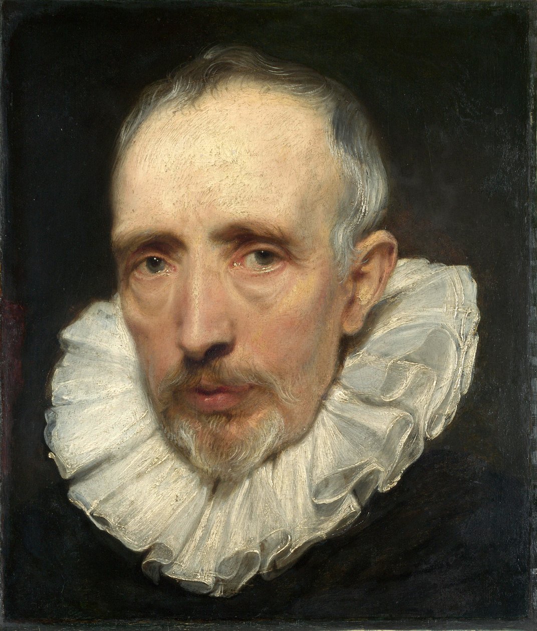 Porträtt av Cornelis van der Geest av Anthony van Dyck