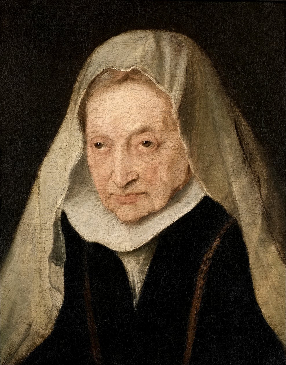 Sofonisba Anguissola (Cremona 1530/6-1625) av Anthony van Dyck