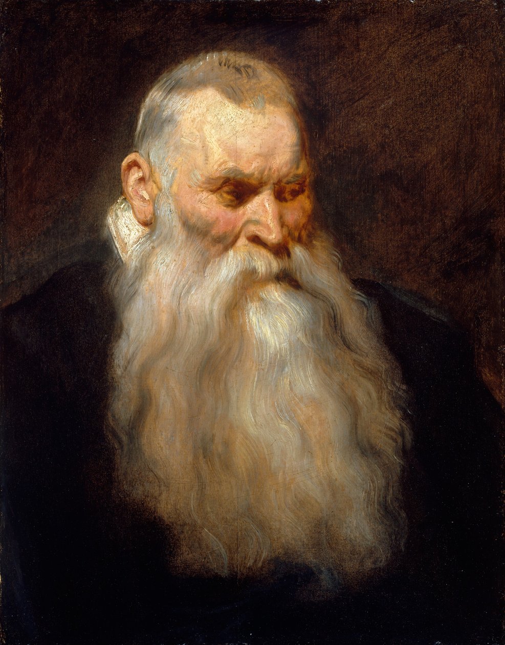 Studiehuvud för en gammal man med vitt skägg, ca. 1617-20. av Anthony van Dyck