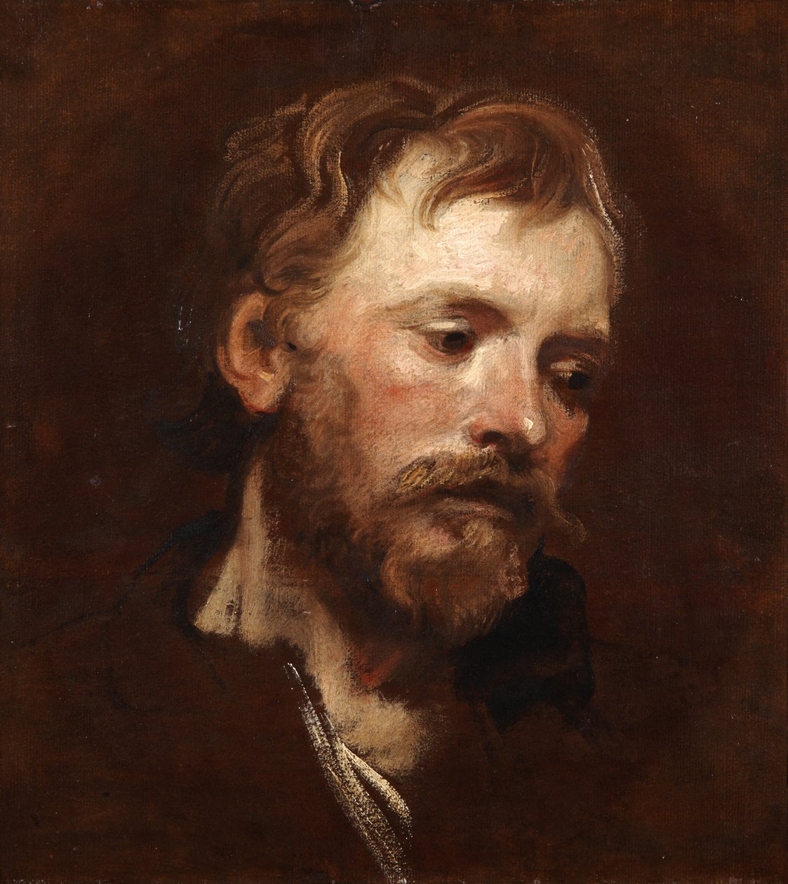 Studie av en ung skäggig man av Anthony van Dyck