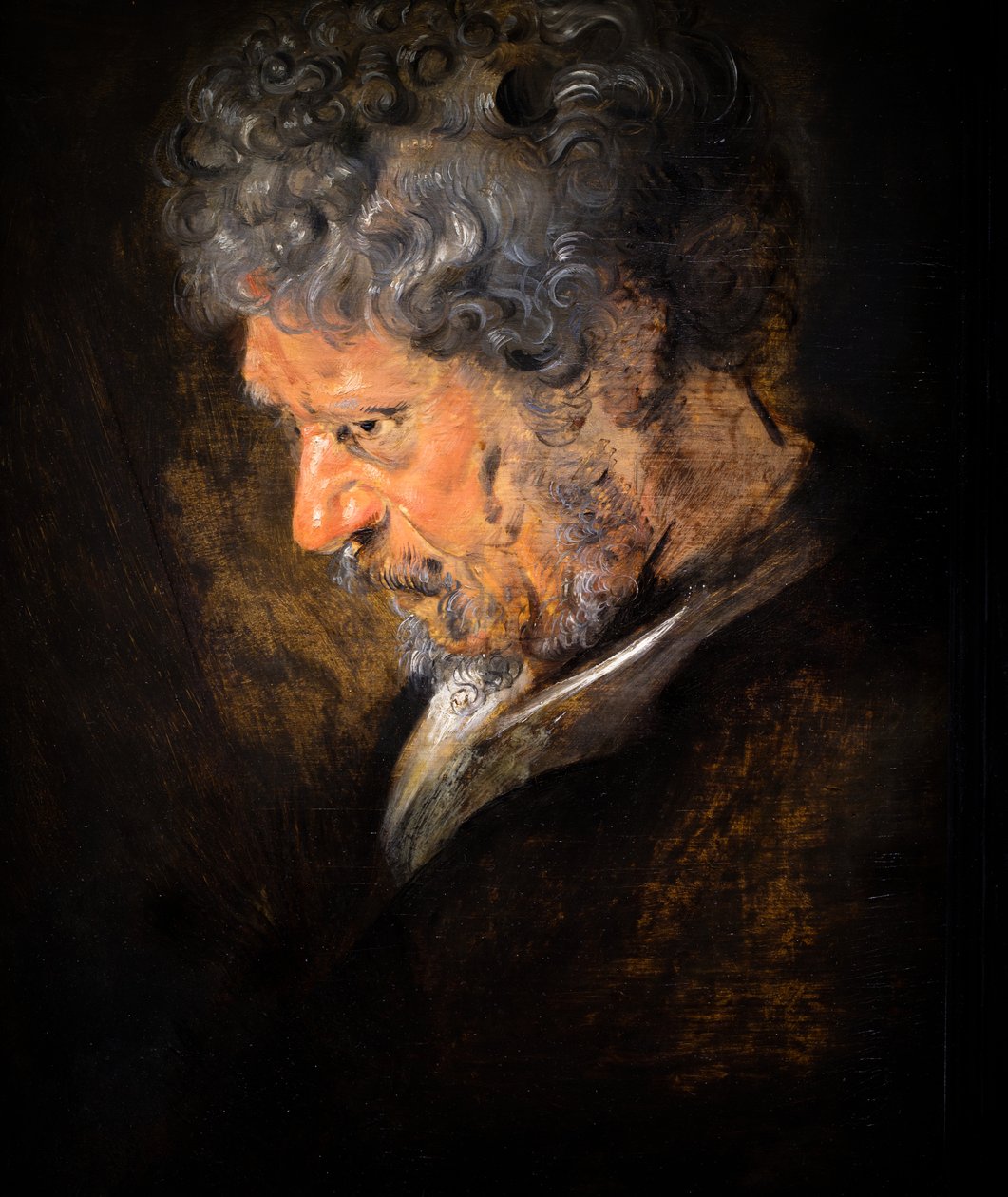 Studie av en gammal mans huvud: vänster profil (detalj) av Anthony van Dyck