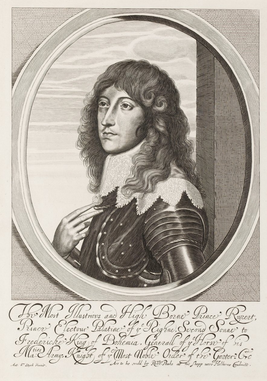?Den mest illustrerade och högburne prinsen Rupert?, 1640 ca av Anthony van Dyck