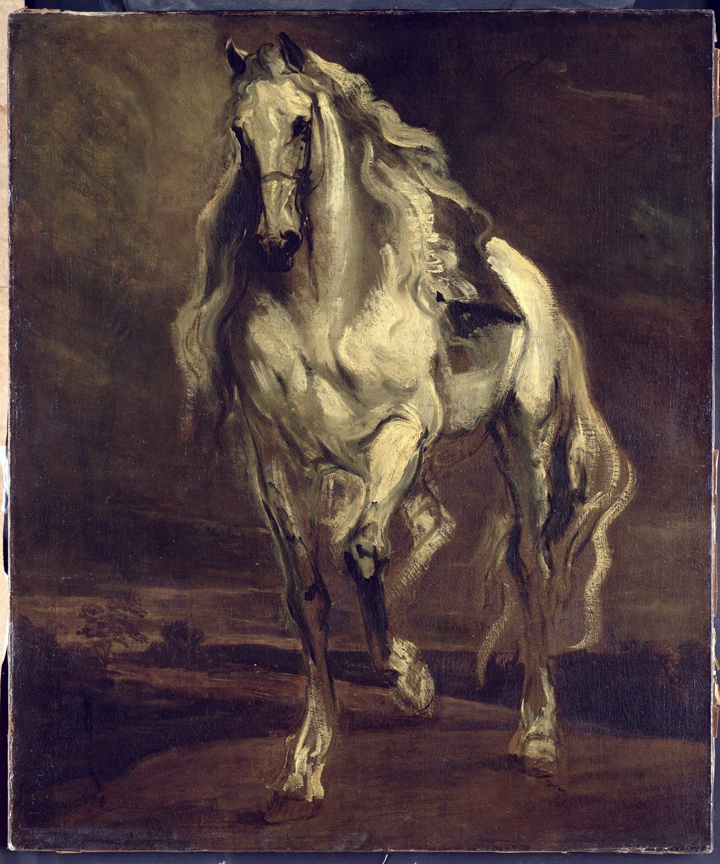 Okänd bild av Anthony van Dyck