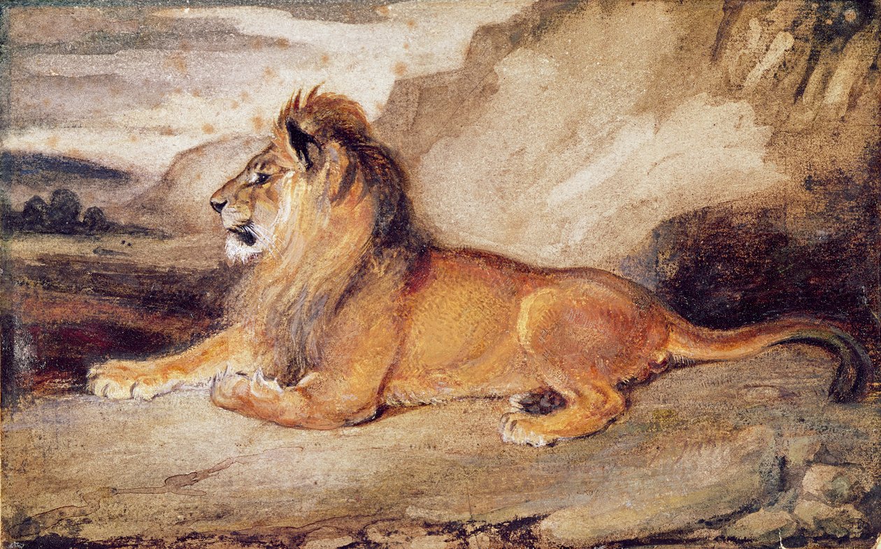 Lejonvila (wc och gouache på papper) av Antoine Louis Barye