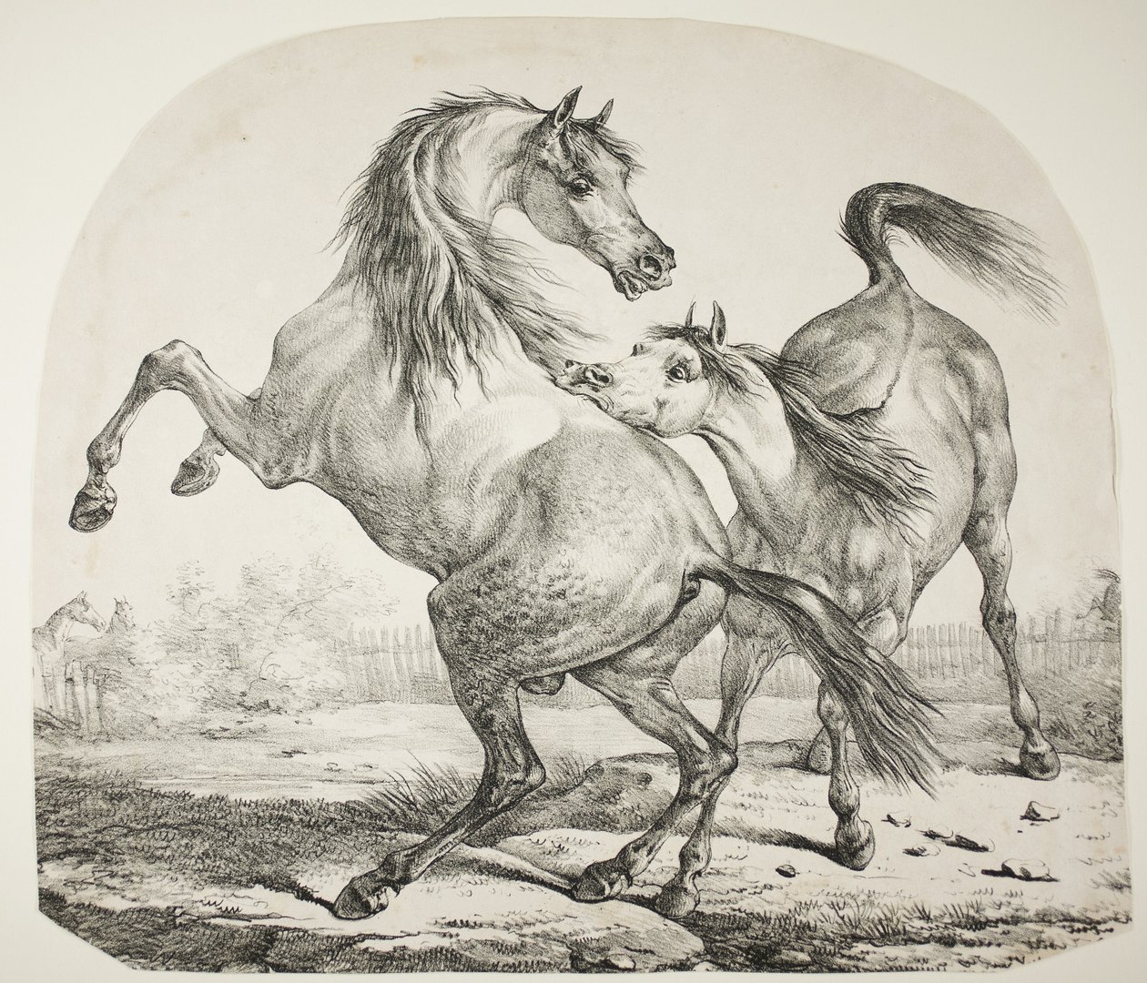 Vilda hästar som slåss, ca 1820 av Antoine Charles Horace Vernet
