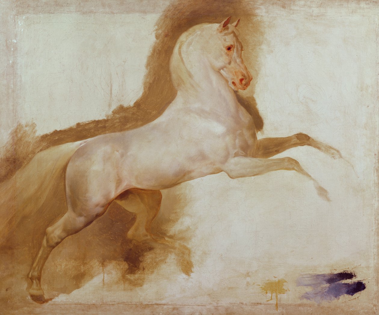 Häst av Joachim Murat, ca. 1832 av Antoine Jean Gros