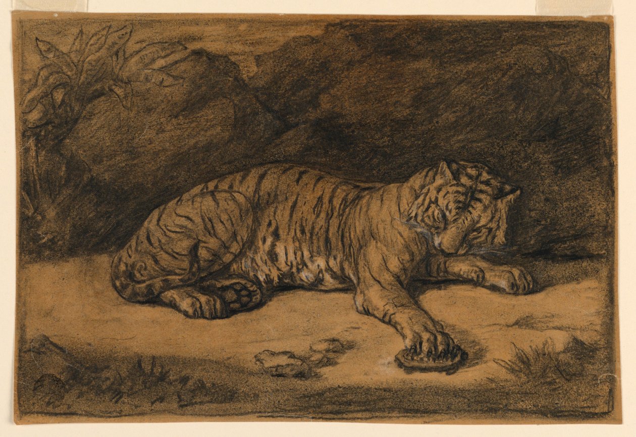 En tiger och en sköldpadda av Antoine Louis Barye