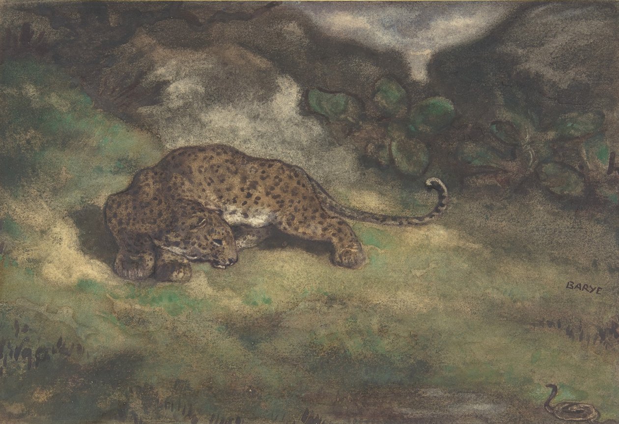 Leopard och orm, 1810–75 (wc på lagt papper) av Antoine Louis Barye