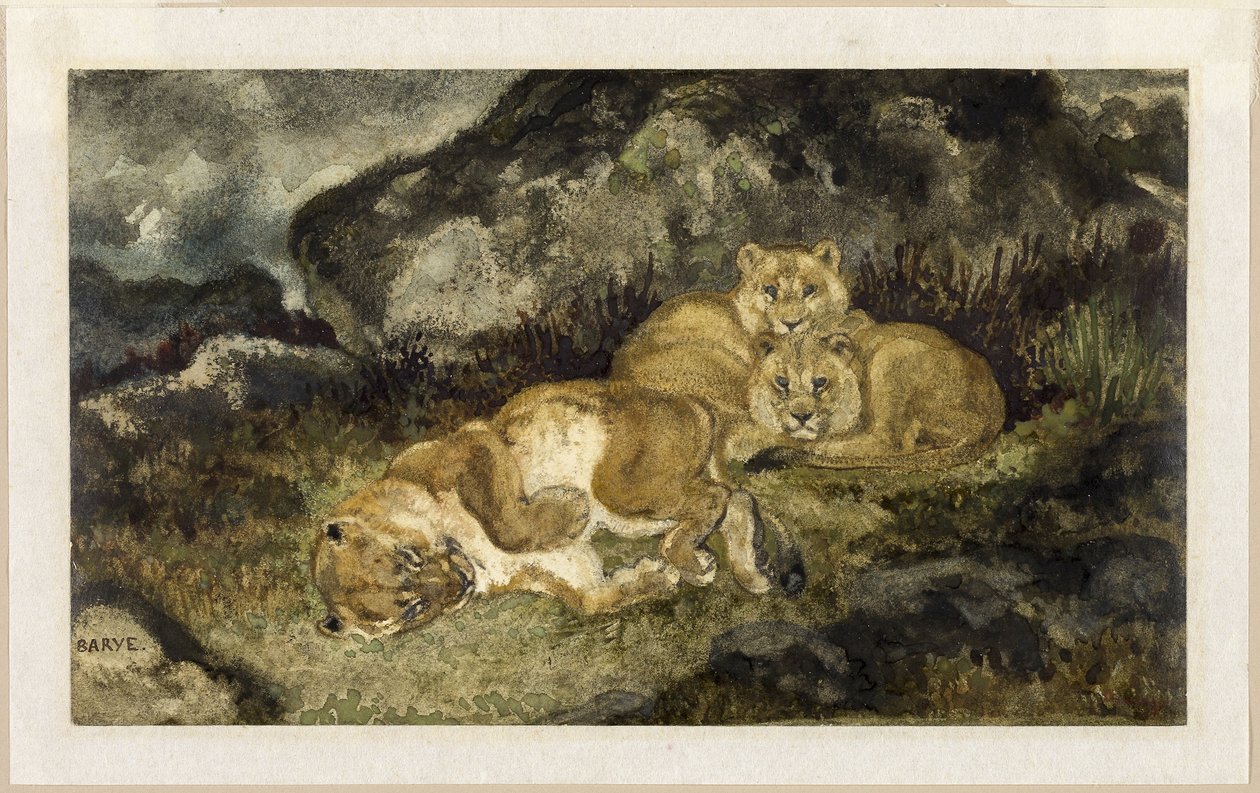 Lejoninna och lejonungar, ca 1832 (akvarell  grafit, på elfenbensvävt papper) av Antoine Louis Barye