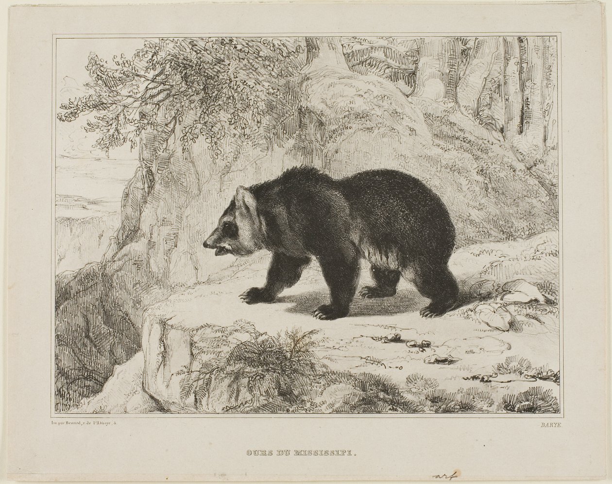 Mississippi Björn av Antoine Louis Barye