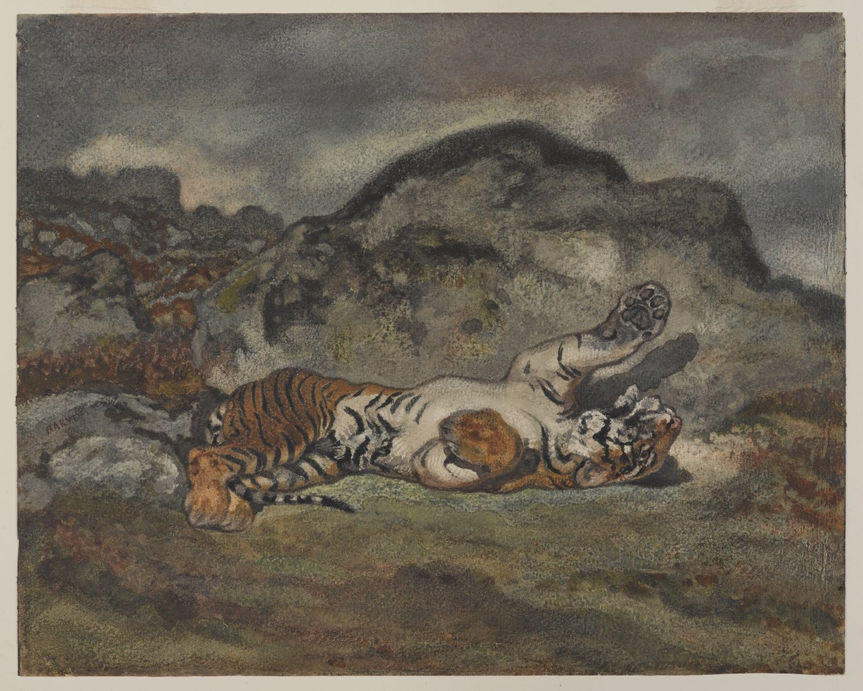 Rolling Tiger, ca 1840 (wc på papper) av Antoine Louis Barye