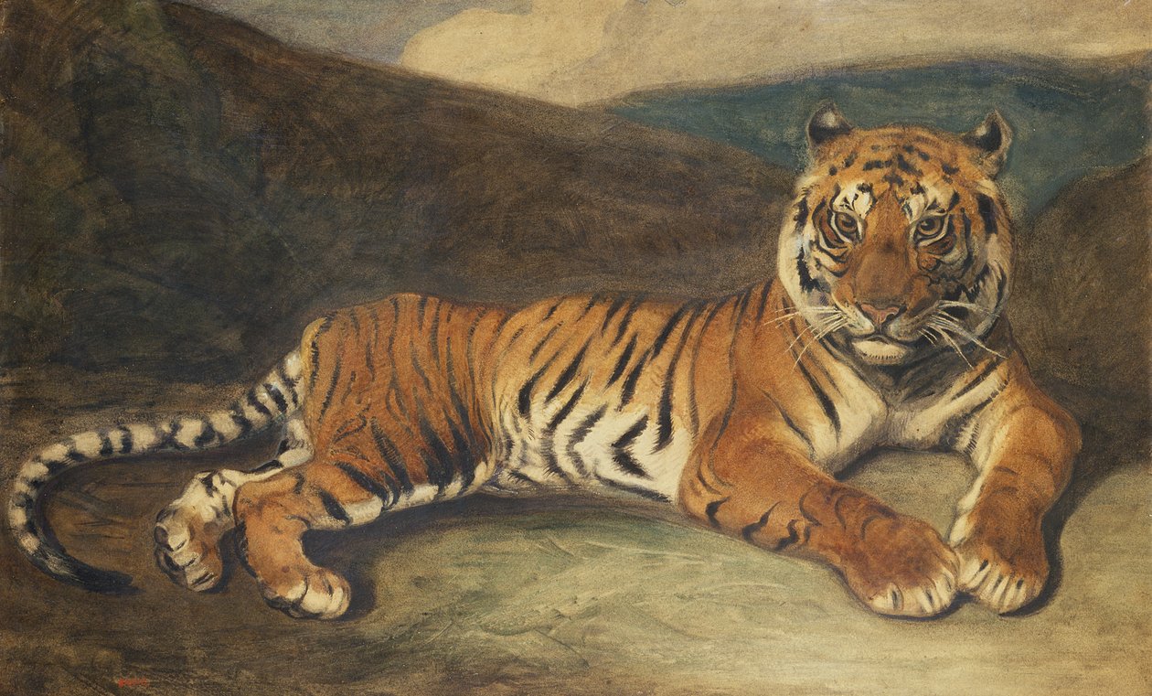 Tiger Reclining (wc på papper) av Antoine Louis Barye