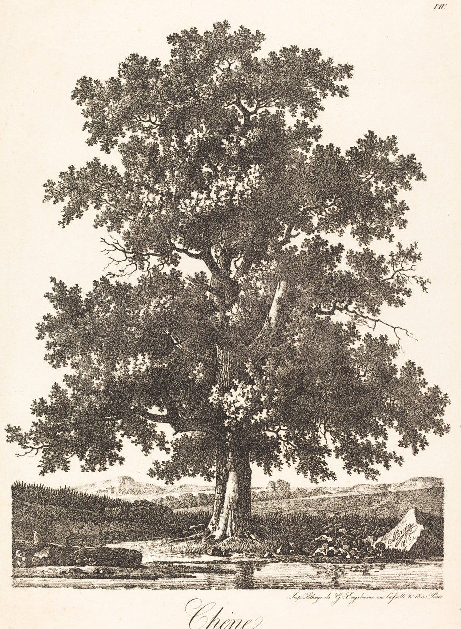 Chene (ek) av Antoine Pierre Mongin