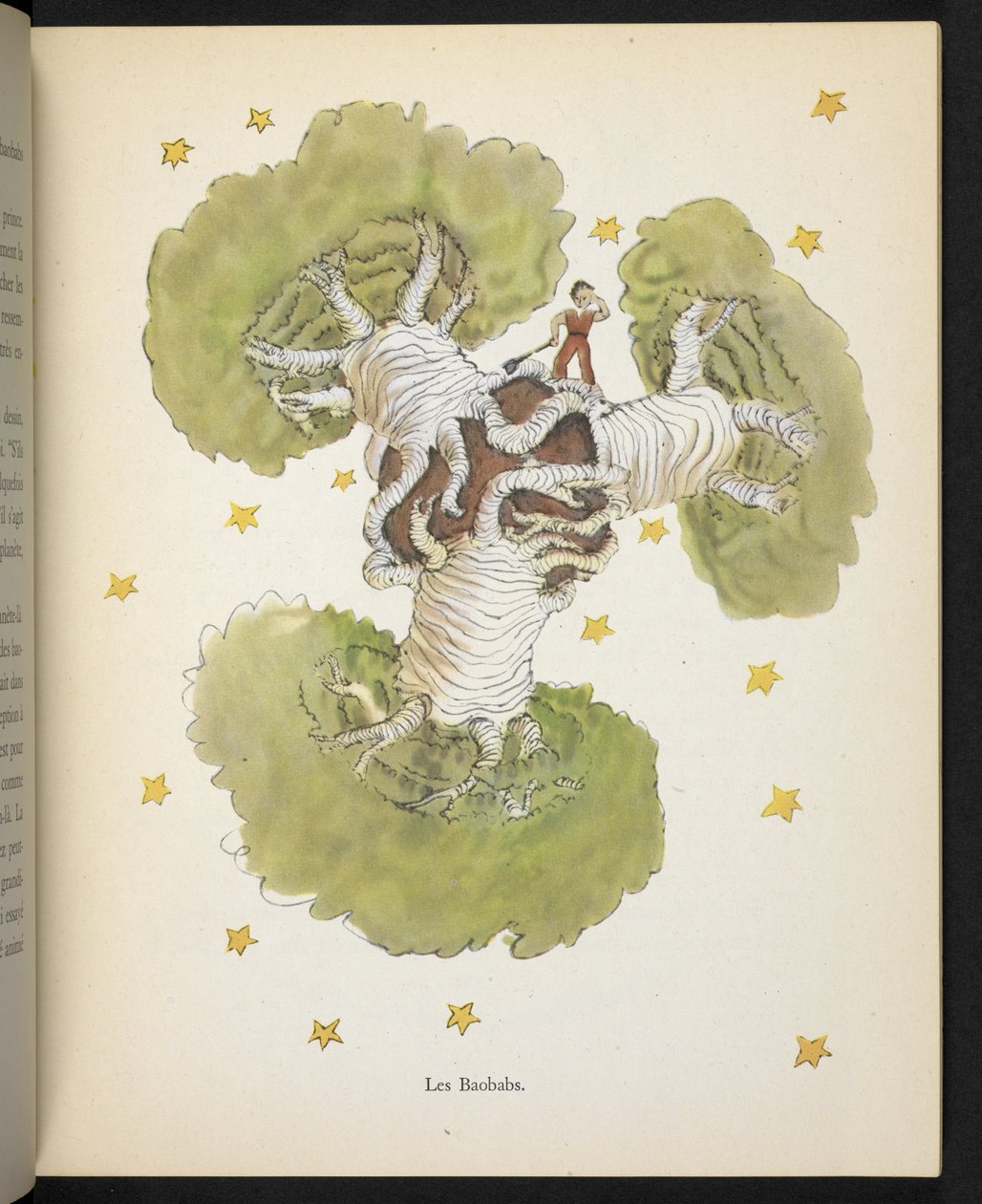 Baobabs, illustration från "Le Petit Prince", av Antoine de Saint-Exupéry av Antoine de Saint Exupery