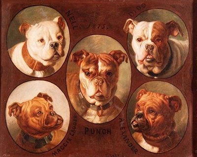 Nell, Dido, Punch, Maggie lauder och Alexander, engelska bulldoggar av Antoine or Tony Dury