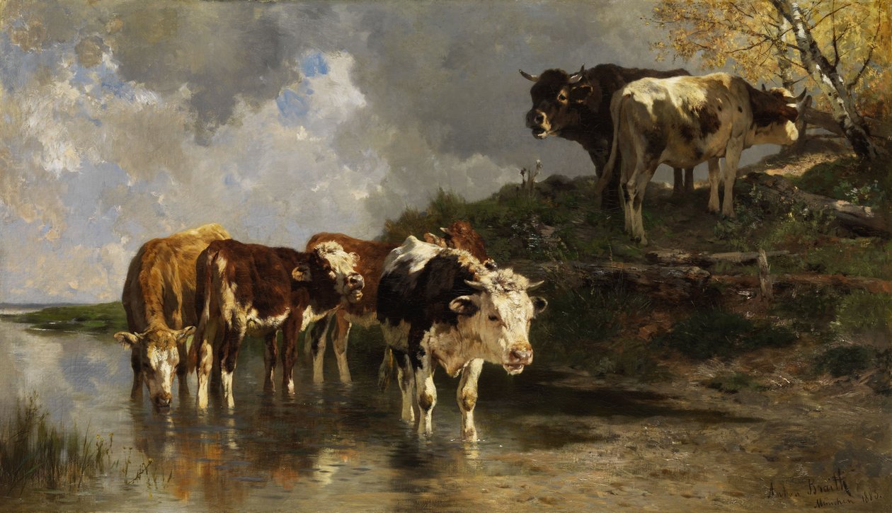 Rinder an der Tränke av Anton Braith
