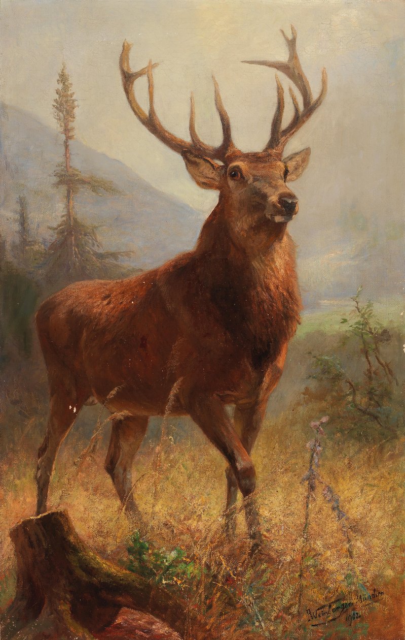 Trophy Stag in an Open Landscape av Anton Weinberger