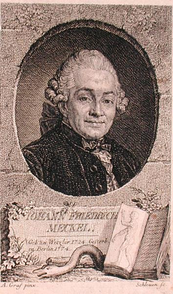 Porträtt av Johann Friedrich Meckel (1724-76) graverat av John Schleuen (fl.1740-74) (gravyr) av Anton (after) Graff