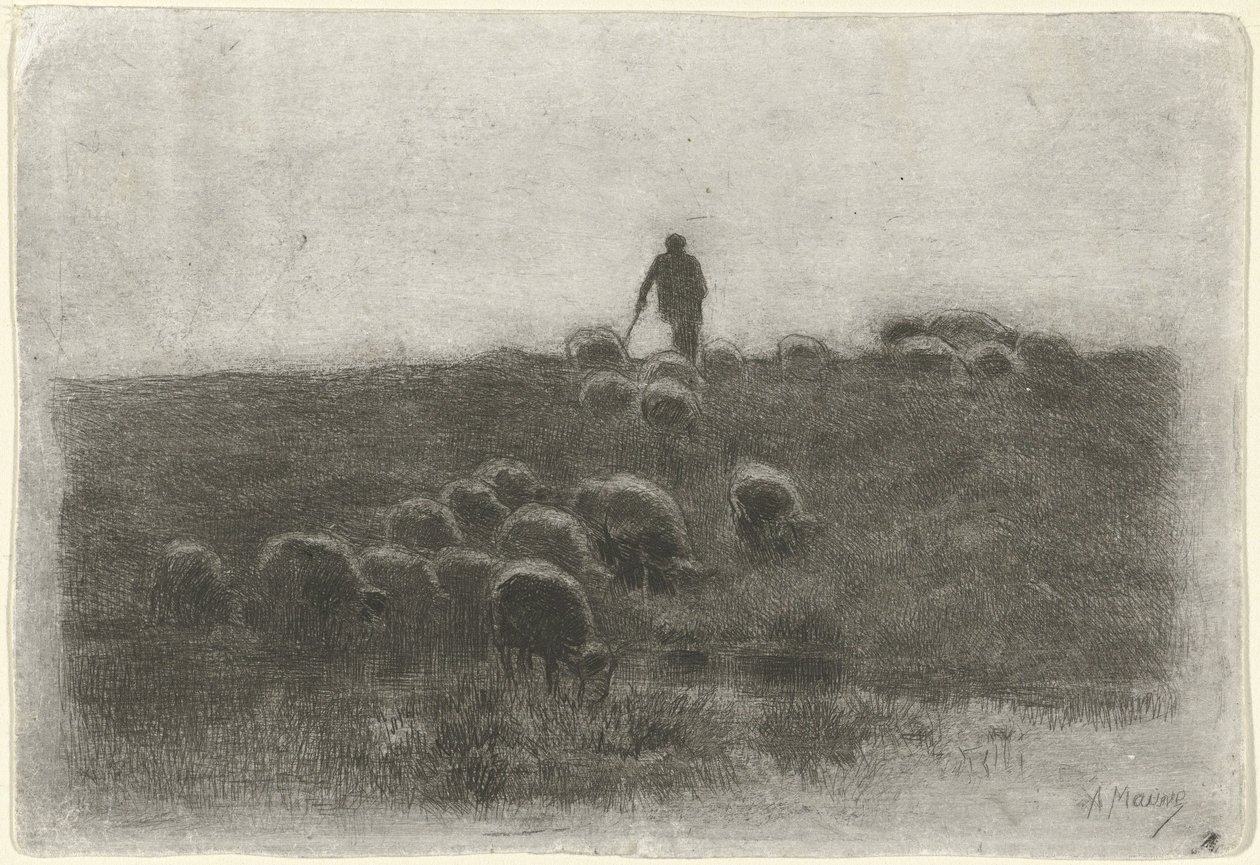 Herde med fårhjord av Anton Mauve