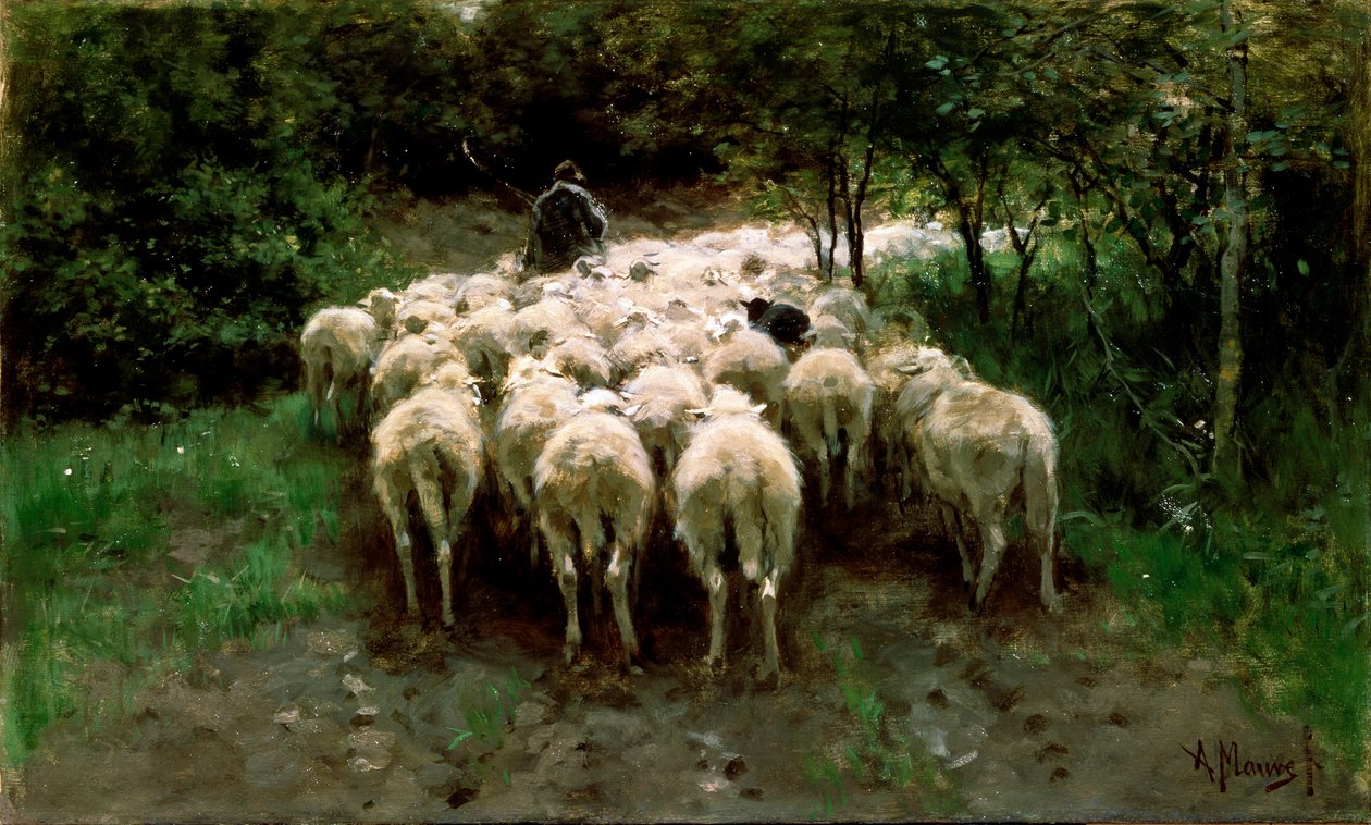 Får i skogen, 1800-talet. av Anton Mauve