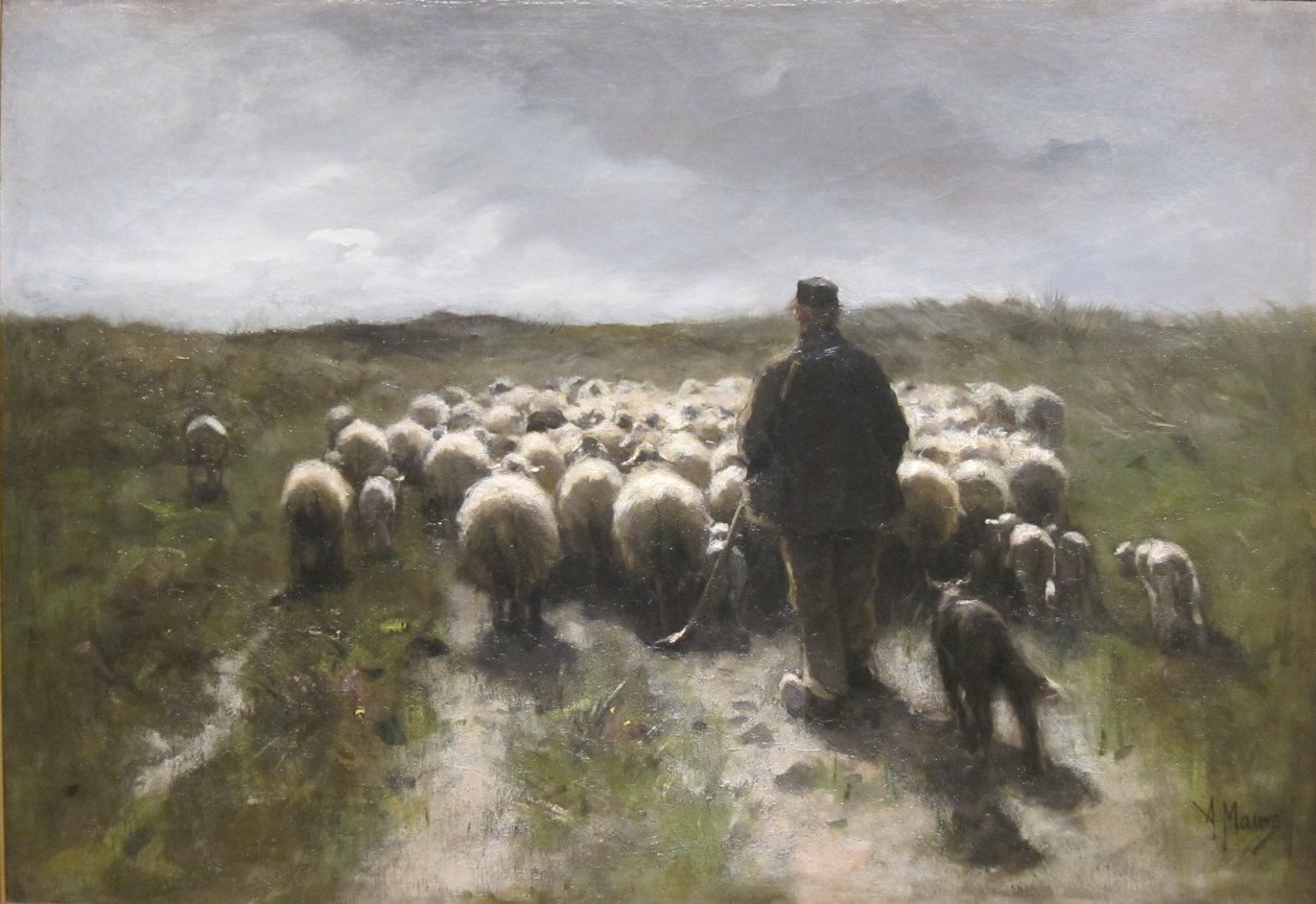 Herde och får av Anton Mauve