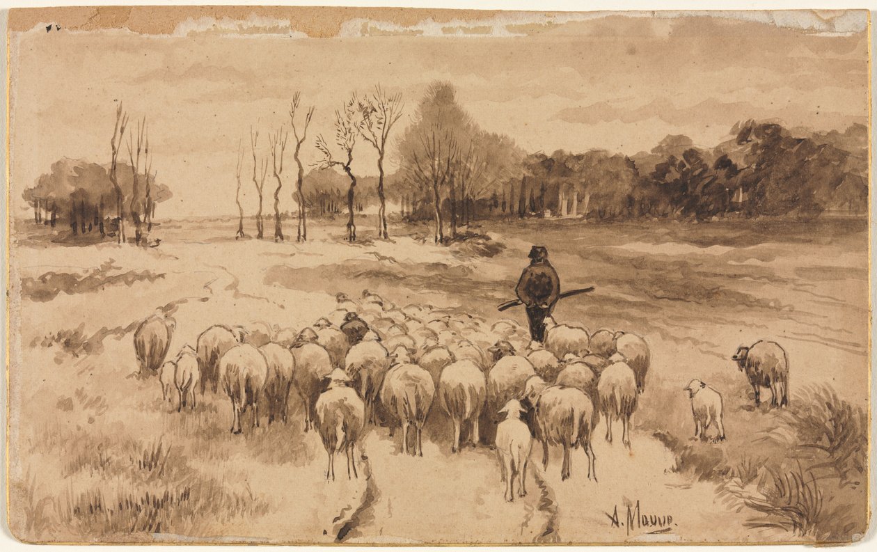 Herde med sin hjord av Anton Mauve