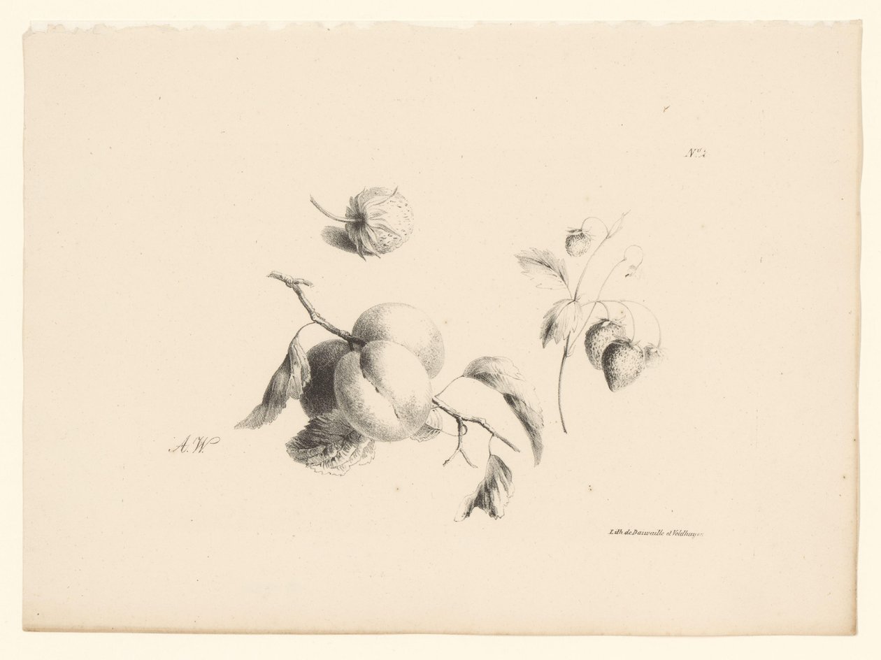 Aprikoser och jordgubbar Blommor och frukter (serietitel) av Anton Weiss