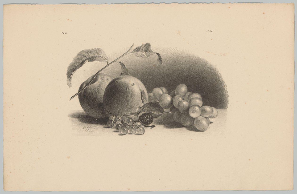 Äpplen, bär, björnbär och vindruvor Flower and Fruit Studies (...) 3:e avsnittet (serietitel) av Anton Weiss