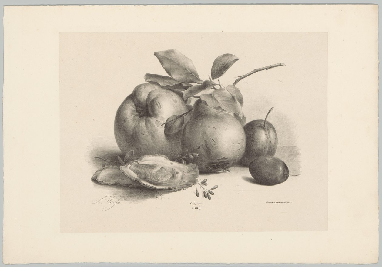 Frukt, plommon och ostron Flower and Fruit Studies (...) 10:e avsnittet (serietitel) av Anton Weiss