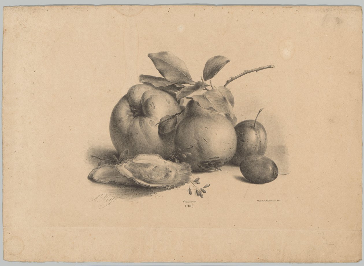 Frukt, plommon och ostron Flower and Fruit Studies (...) 10:e avsnittet (serietitel) av Anton Weiss