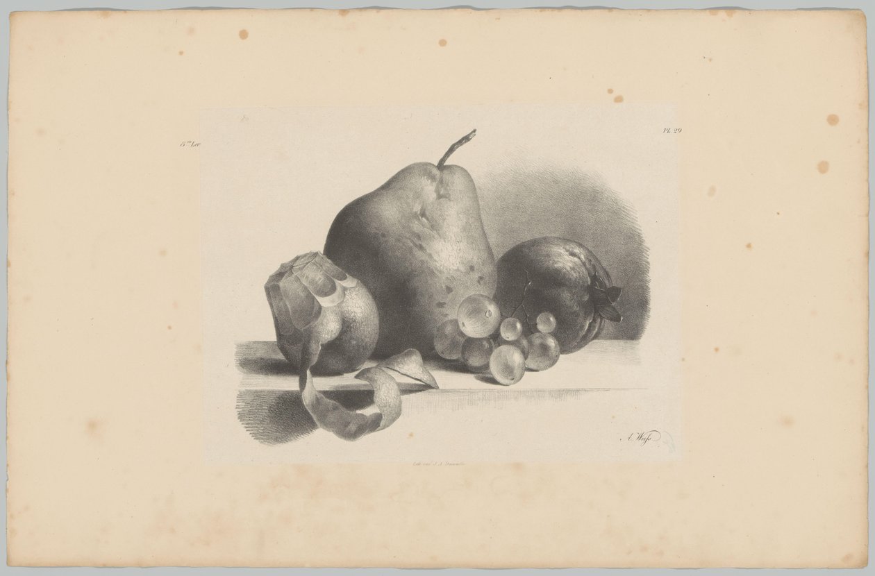 Päron, persika, vindruvor och skalad citron Flower and Fruit Studies (...) 3:e avsnittet (serietitel) av Anton Weiss